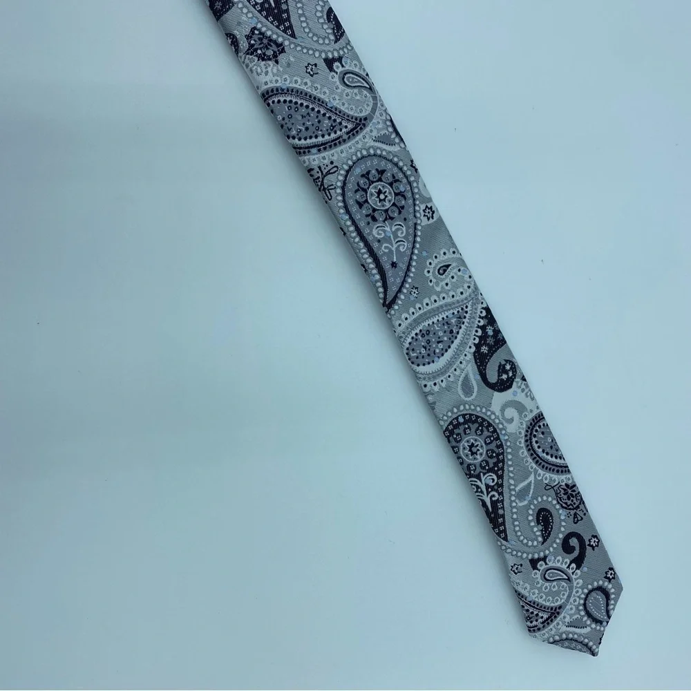Bergamo Men’s Tie Gray‎ Silver & Paisley